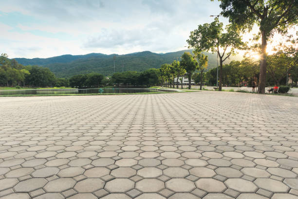 Best Concrete Paver Driveway  in USA